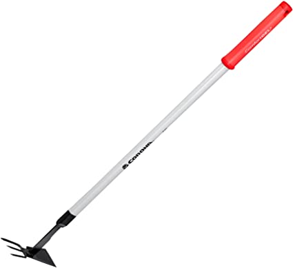 51HcPH-TrdL._AC_SX425_.jpg